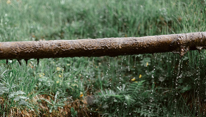 What’s Hiding Inside Your Water Pipes?